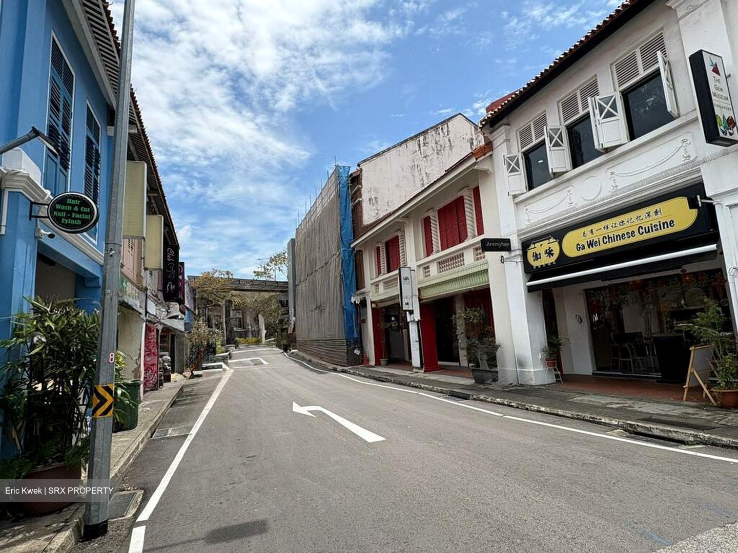 Veerasamy Road (D8), Shop House #496740451